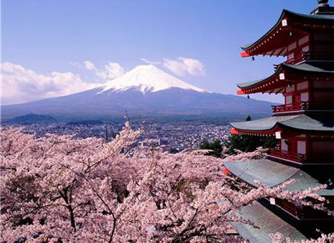 Một số điều kiêng kỵ trong văn hóa tặng hoa người Nhật