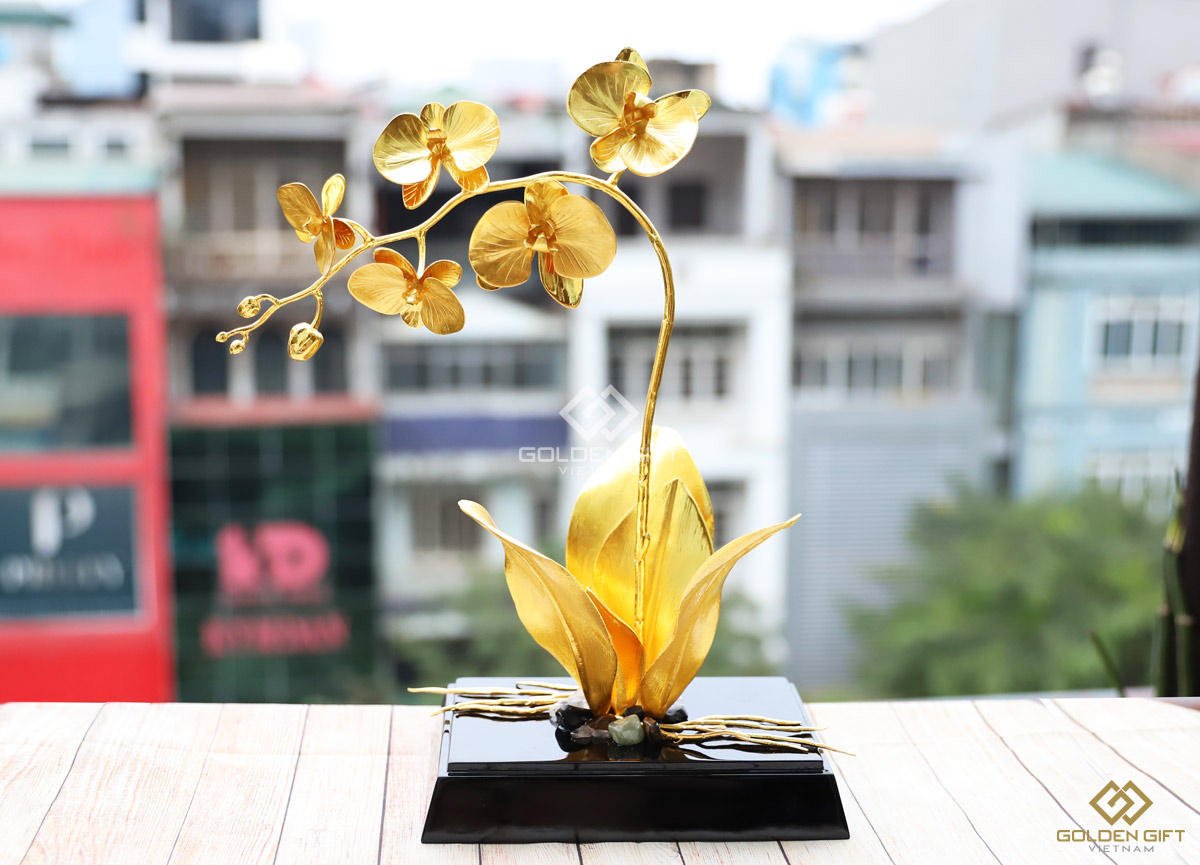 Hoa lan phong thủy – loài hoa vương giả mang phú quý đến mọi nhà