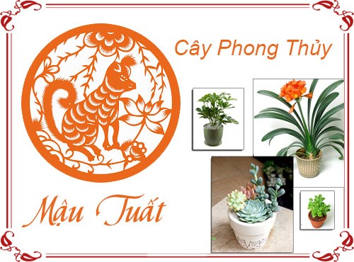 Những vật phẩm phong thủy hợp với người tuổi Mậu Tuất sinh năm 1958