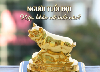 Trong làm ăn và hôn nhân tuổi Hợi hợp với tuổi nào nhất?