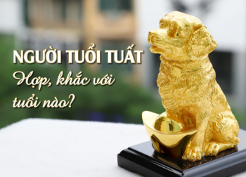 Tuổi Tuất hợp với tuổi gì trong đường làm ăn và đường tình duyên?